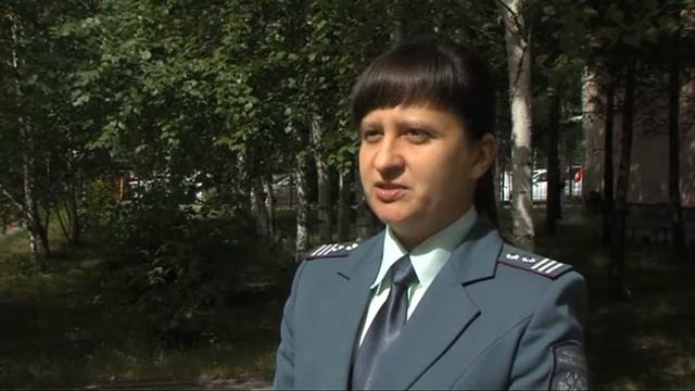 Налоговые извещения смотреть онлайн