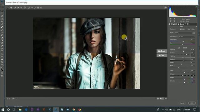CINEMATIC CAMERA RAW PRESETS FREE DOWNLOAD смотреть онлайн