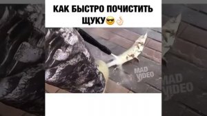 Клининг в пищевой промышленности или как использовать Керхер