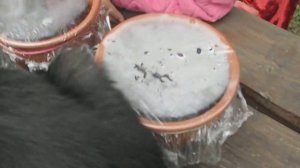 Огородники)Гидрогель для растений)Посадка зелени в гидрогель)