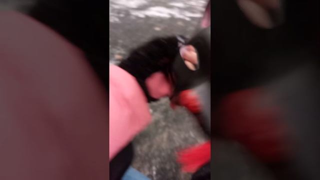 всем большое спасибо за 10 подпищеков! смотреть онлайн