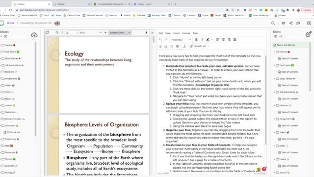 Knowledge Organizer Free Template (PDFs + docs + tabs) | How to Use Notion смотреть онлайн