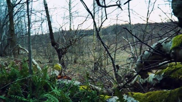 Помог Паше Пэл Найти Мерседес скинув ему ссылку смотреть онлайн