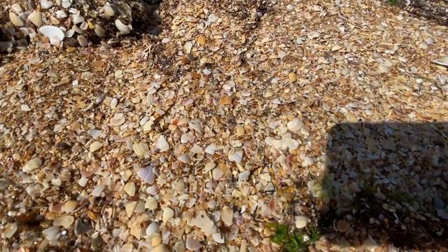 Идём вдоль пляжа Чёрного моря, ракушки. Волны как у Айвазовского смотреть онлайн
