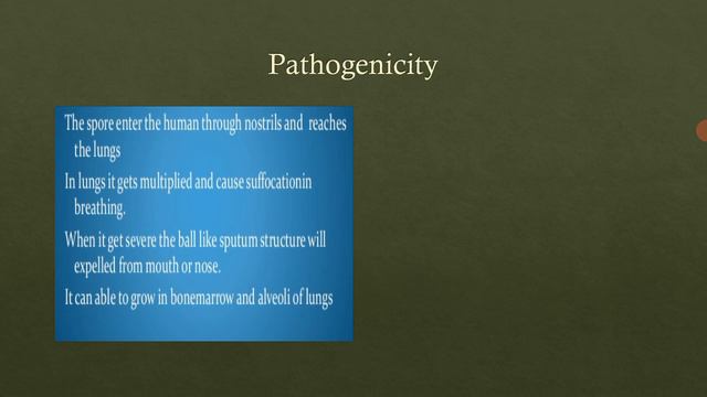 Asst. Prof. P V Shete; MB 341; medical microbiology; lecture 68 смотреть онлайн