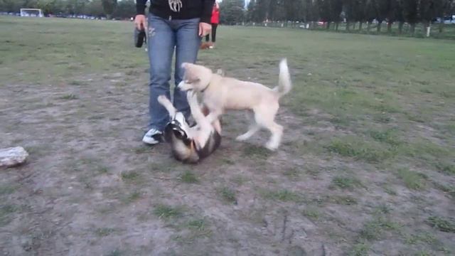 Норса и Марта - детские игры - 2 смотреть онлайн