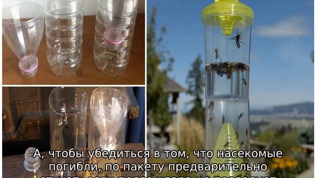 Как избавиться от ос в доме смотреть онлайн