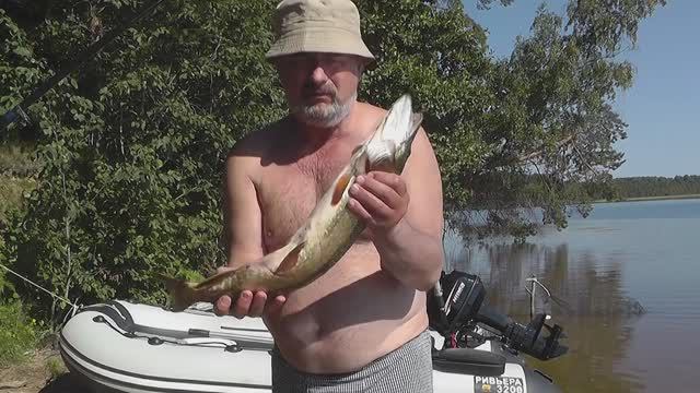 Отдых и рыбалка на Савозере. 2020 год