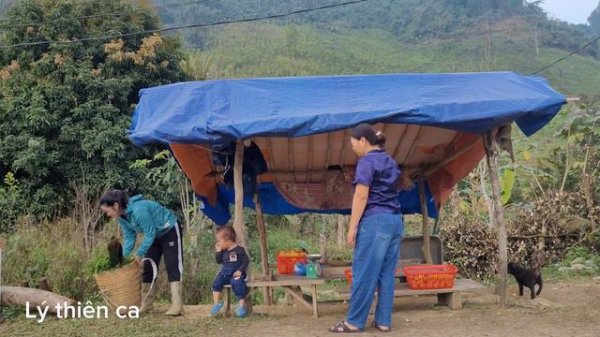 Went to pick wild vegetables to sell & Saved the life of a seriously injured dog - Ly Thien Ca