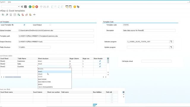 Create Excel data source for BI platform from SAP смотреть онлайн