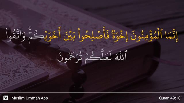 Al-Hujurat ayat 10 смотреть онлайн