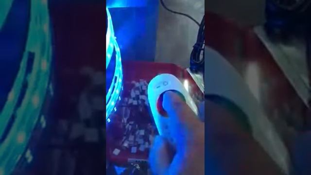 65 ft of 24v RGBW led strip light ip67 смотреть онлайн