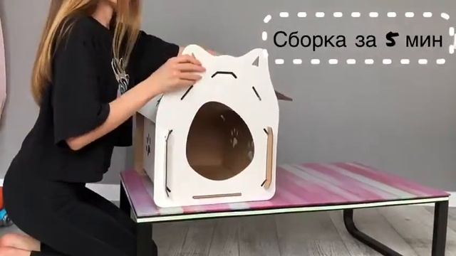 Картонный домик для кошки смотреть онлайн