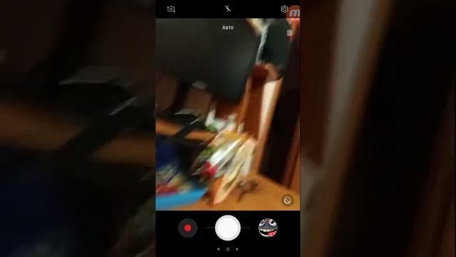 Маи животные смотреть онлайн