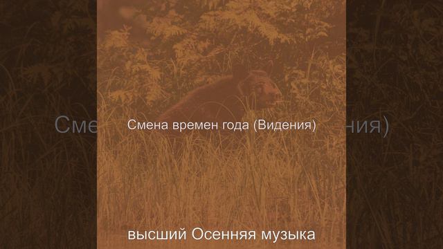 Звуки (Смена времен года) смотреть онлайн
