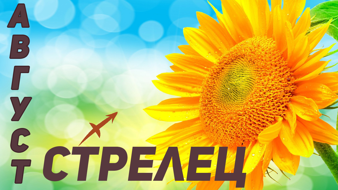 ? СТРЕЛЕЦ – ТАРО ПРОГНОЗ на АВГУСТ 2022 года ?