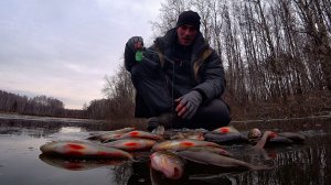 ПЕРВЫЙ ЛЁД 2022! Выползли и ПОПАЛИ на БЕШЕНЫЙ КЛЁВ!