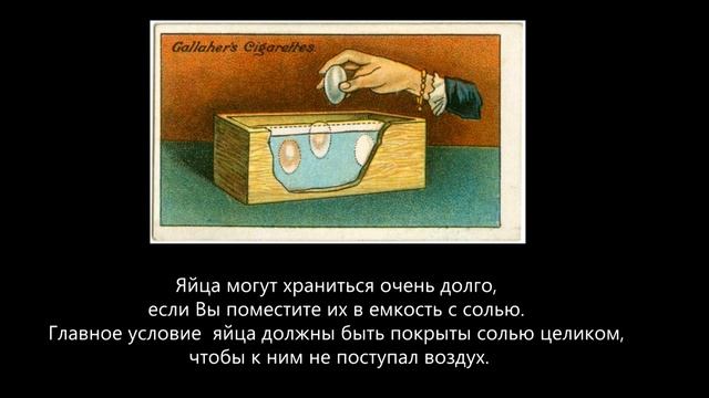 Совет: Как сделать консервированные яйца 3/9 - How to make the preserved eggs смотреть онлайн