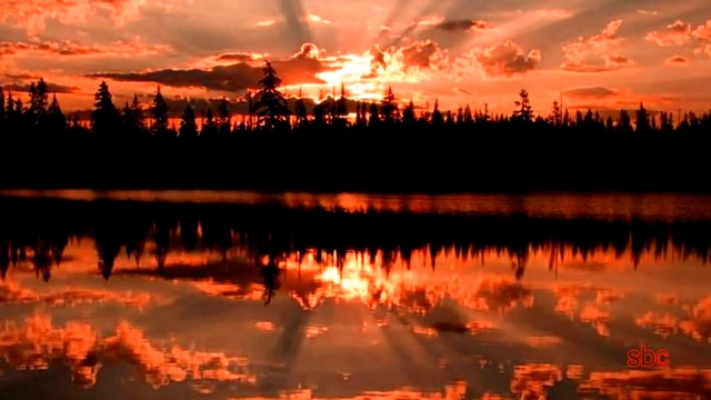 Fool (If You Think It's Over) ◉ CHRIS REA смотреть онлайн