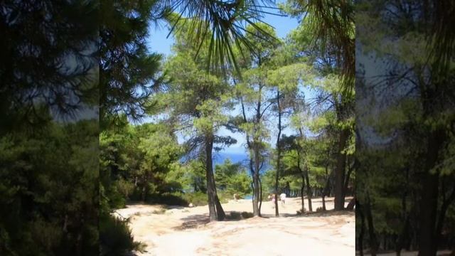 Бунин стихотворение "Детство". Школьный проэкт смотреть онлайн