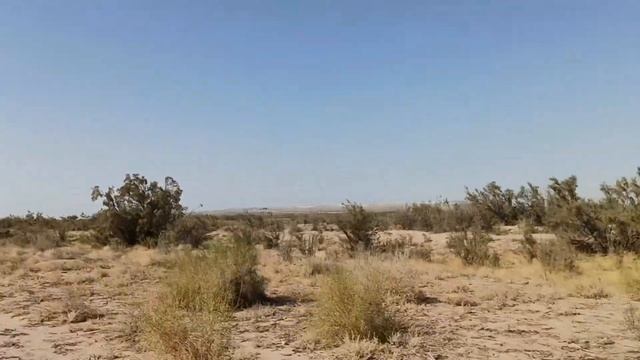 Поездка по пустыне Кызылкум, территория заповедника Джейран, Бухара смотреть онлайн