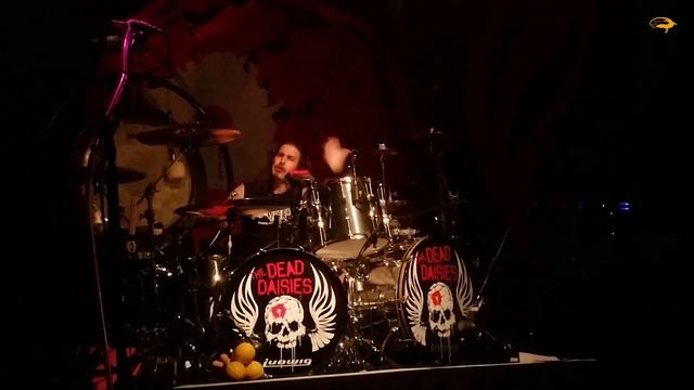 Brian Tichy Mega Drum Solo ❀ Dead Daisies at Rams Head Live Baltimore Aug 18 2017 Tichy's birthday смотреть онлайн