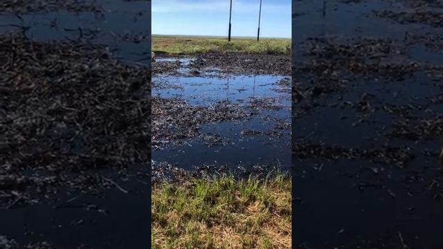 Разлив нефти смотреть онлайн