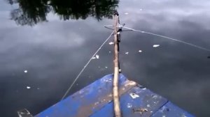 Ловля малька летом с помощью малявочника