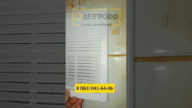 Служба дезинфекции «ДезПрофф»