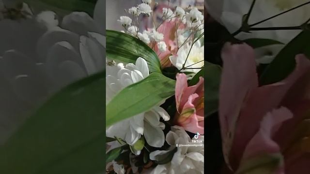 композиция ,состав:альстромерия розовая ,белая хризантема ,гипсофила ,зелень ,кашпо ,оазис ,тишью смотреть онлайн