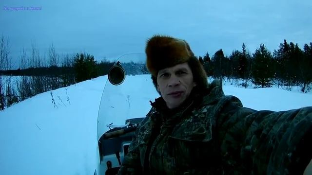 Цена. смотреть онлайн
