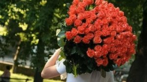 Миллион алых роз