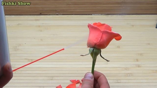 ЭКСПЕРИМЕНТ: СЖАТЫЙ ВОЗДУХ vs РОЗА смотреть онлайн