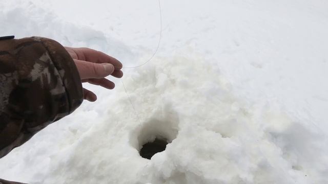 ЯЗЬ ПРОСНУЛСЯ, ПРИШЛО ЕГО ВРЕМЯ НА ЗИМНЕЙ РЫБАЛКЕ ЯМАЛА! ВЕСЕННЯЯ РЫБАЛКА НА БЕЛУЮ, МИРНУЮ РЫБУ! смотреть онлайн
