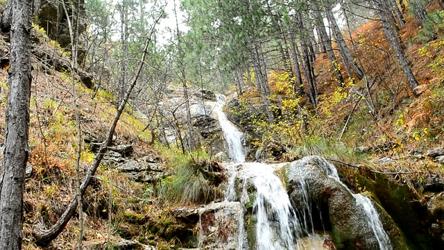 DSC_4393 смотреть онлайн