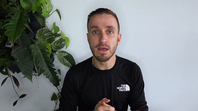 The In-Depth Lechuza Pon Guide | Easy Plant Care | Inorganic Growing