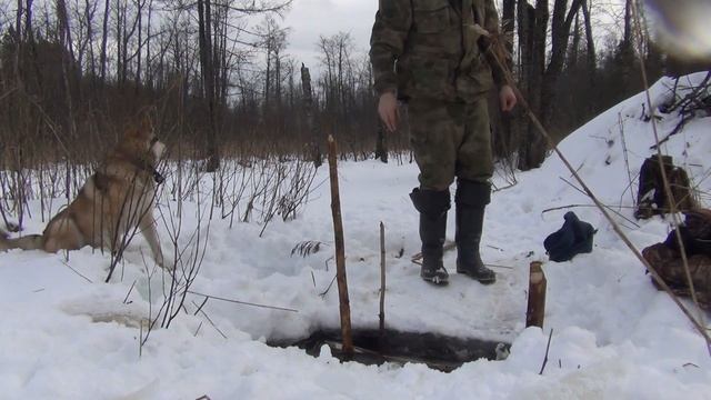 Первая куница в новом году.Постановка на бобра смотреть онлайн