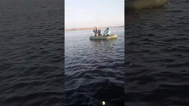 Рыбака с лодки на плотву в Кременчуге,раен Самусиевка! 08.12.2017 смотреть онлайн
