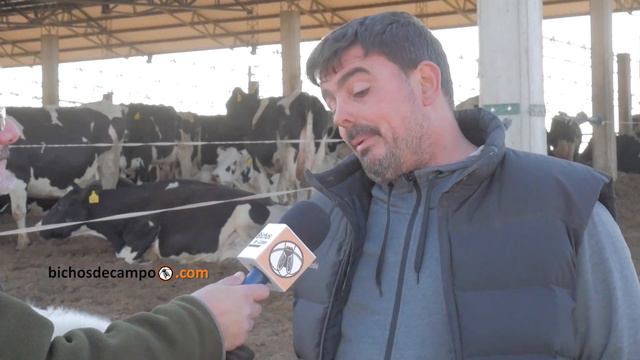 Martin Bono - Productor tambero en establecimiento "Doña Luisa", Oliva, centro de Córdoba смотреть онлайн