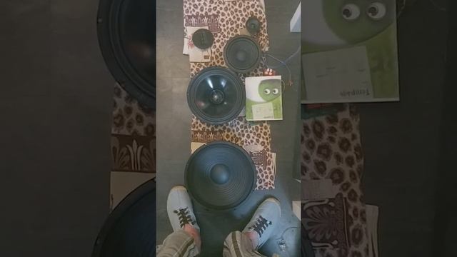 В Поисках Прекрасного звука часть первая смотреть онлайн