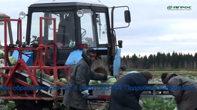 Уборка капусты смотреть онлайн