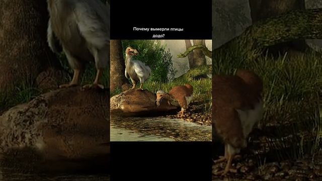 почему вымерли птицы додо? смотреть онлайн