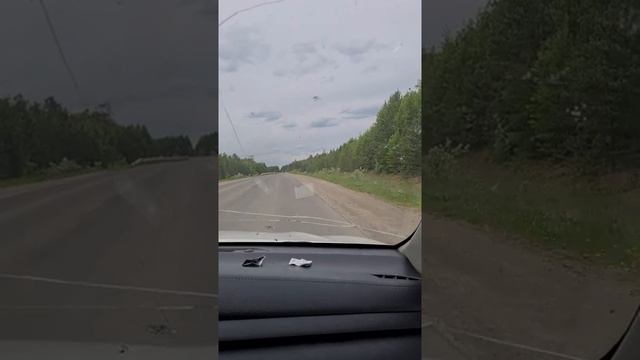 Яшил урмонзор смотреть онлайн