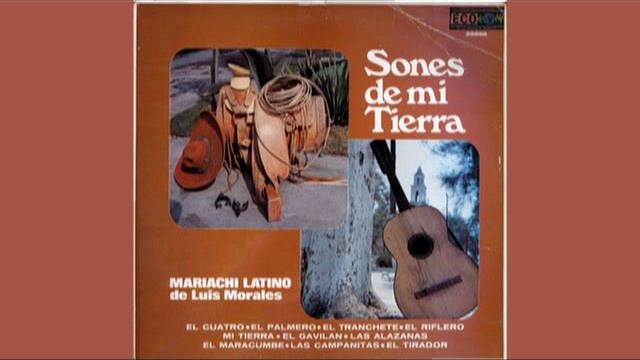 Mariachi Latino de Luis Morales El Riflero смотреть онлайн