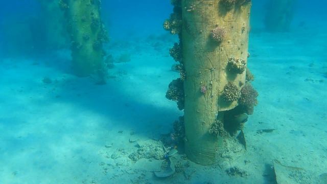 4K Pyramisa Sahl Hasheesh. Затопленный город возле отеля. ГоПро9.