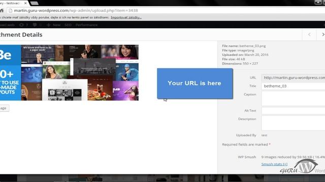 How to get Image URL you uploaded at WordPress and paste him wherever (2017) смотреть онлайн