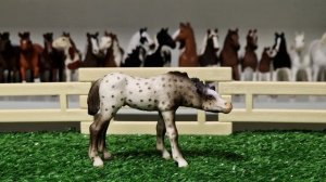 Мои новые фигурки лошадей SCHLEICH, COLLECTA, BREYER, MOJO, BULLYLAND, PAPO, WIA за 2022-2023 год