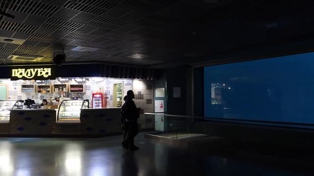 Что посмотреть на ВДНХ? ? МОСКВАРИУМ и колесо обозрения Солнце Москвы ? смотреть онлайн