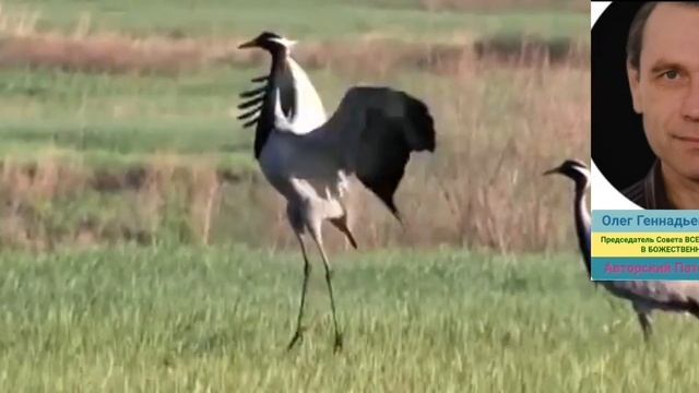 Разговор со Светланой Родичевой 08 10 2023 г смотреть онлайн