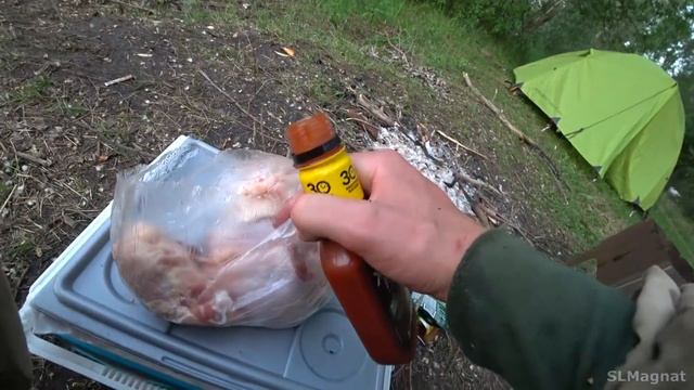 С ДЕВУШКОЙ на РЫБАЛКУ...24 ЧАСА мощных КАРАСЕЙ! Рыбалка с ночевкой 2021 смотреть онлайн